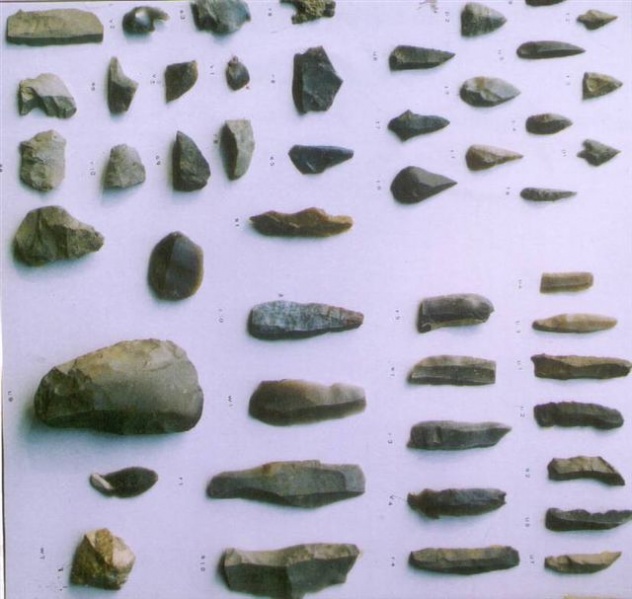 Bestand:Archeologische vondsten uit Tjongercultuur StippelbergCCE00000.jpg